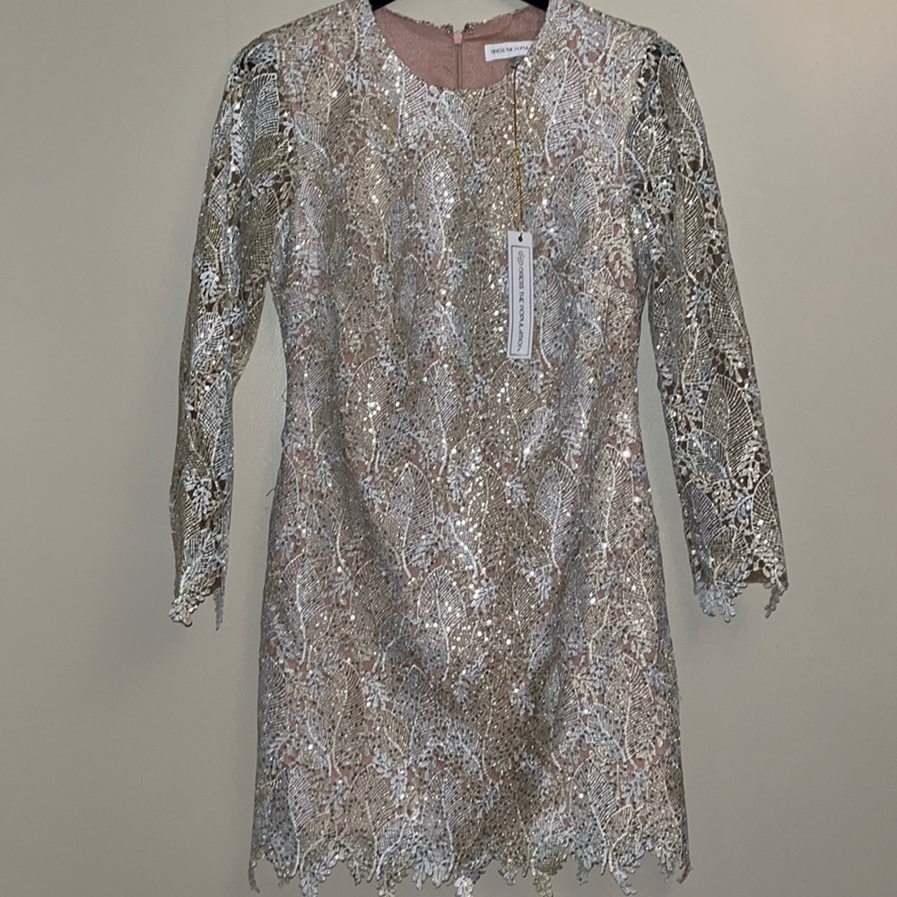NWT Banana Leaf Silver Thread Sequin Long Sleeve Dress with Nude Layer Under